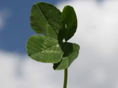 말도 안되게 아름다운 오늘!