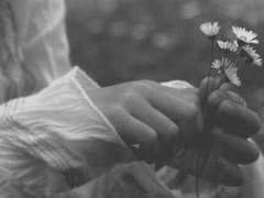 [송수현|29|B|B|가이드]