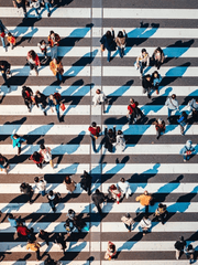 함께 미아가 되자