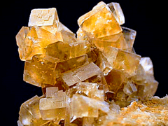 [몽키키드] 七寶 : 01 「 플루라이트 」