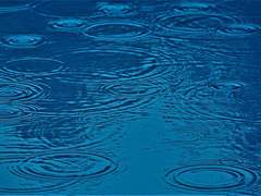 투명한 여름이 내려와