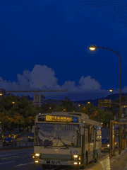 닌타마 드림백업