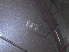 You made me feel alive .