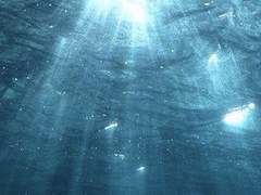 고독의 바닷속에서 인사하는 작별이란.