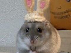 정재현 사촌동생이 에스엠한테 캐스팅 받은 썰