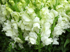 우리는 사랑이라 부른다.