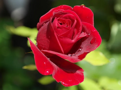 [세르시온]외래어 표기법