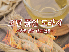 [부스 인포] 오 년 끓인 도라지 ~부제: 활활 타고 있음~