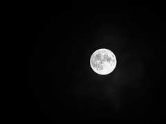 공개 프로필 | 비비안 | XX