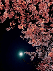 보름달이 뜨는 하루-와키보름