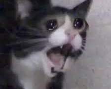 아무 이유없이 무언가가 먹고 싶을 때