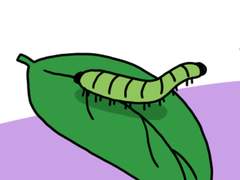 177. 몇몇 애벌레들의 방어전략