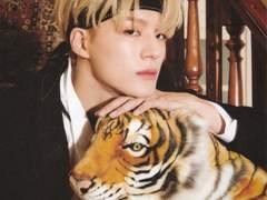 트리위저드 무도회 파트너 고르기