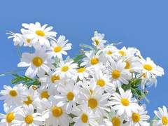 어쩌다 마주친 햇살