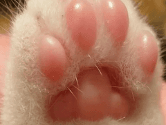 박지성이랑 줌 키고 공부하기