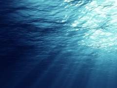 칼릭스 로빈 Cailx Robin