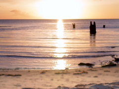 오, 나의 작가님! (14? 끝인지는 몰?라요)