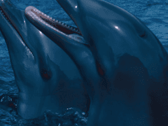 [명석영우] 일상의 소중함