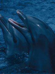 [우영우] 명석영우 by 윤양이 - 미래시점