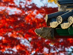 [BL] 붉은 임금님 6화