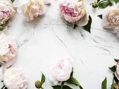 친애하는 미카엘에게