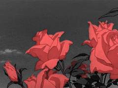 흔들리는 그 붉은 자락이 맞닿을 곳은 어디인가