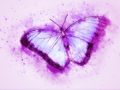 한 슈아이 21 XX 화간접무