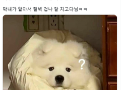 우리 막냉이 짧썰모음 -3