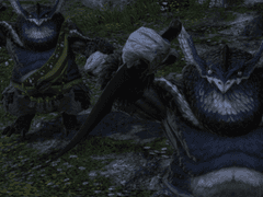 상대는 바누바누족