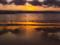 [란시호] 낮은 곳으로