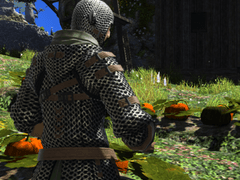 일석이조 새 퇴치