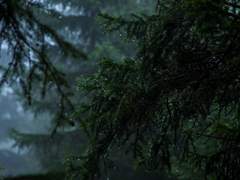 모래 위의 유리성