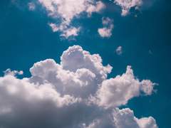 너는 자유롭게 날 수 있니?