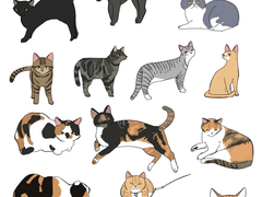 2022-08-12 : 아이디어 스케치 모음