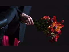 Ashes-Stella 가사해석