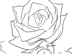 졸업 후, 어느 날