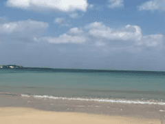 뱀파이어 인 휴먼월드