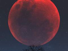 [슈짐] 만월滿月