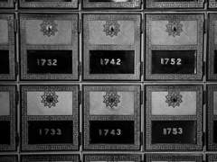 톨비밀레 :: 당신에게