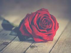 혼자라던 네 곁에 언제까지나