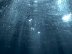 수중의 이카로스 / 後