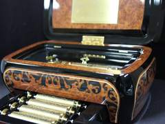 [와타메리] 메리골드: 모순