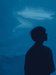 부유하는 회색공기가 어울리지 않는 당신에게