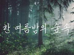 한 여름밤의 숲속