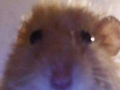 정재현 사촌동생이 에스엠한테 캐스팅 받은썰 2