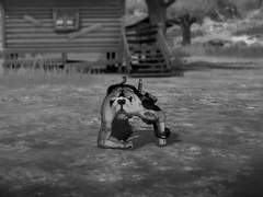 원피스 상황문답 [에이스/우울/단편] 이 세상에 없는 너