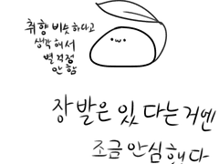 앤캐 리뉴얼된 만화