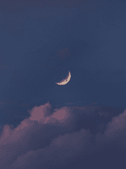 달빛의 붉은 홍연