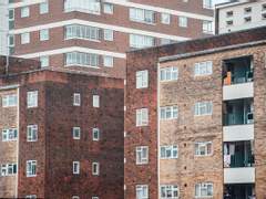 시리무, Wild Word 2