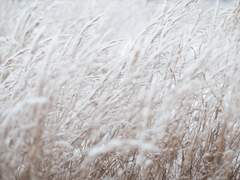 헌 그리움을 보내는 일*